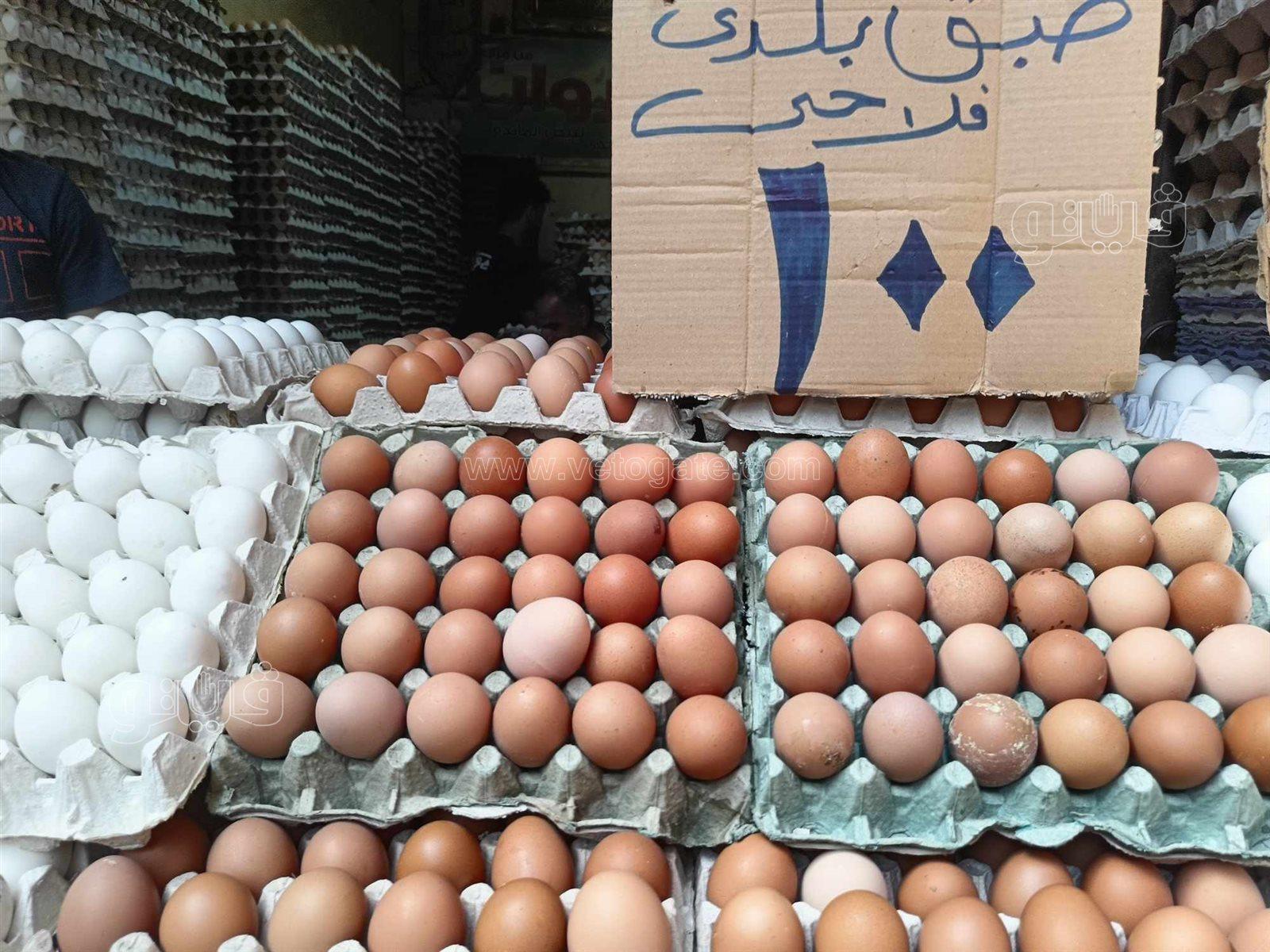 تغيرات أسعار البيض ودورها في تشكيل ميزانية الأسرة