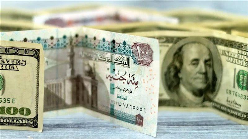 تداعيات ارتفاع الدولار على سوق الاستيراد والتصدير في مصر