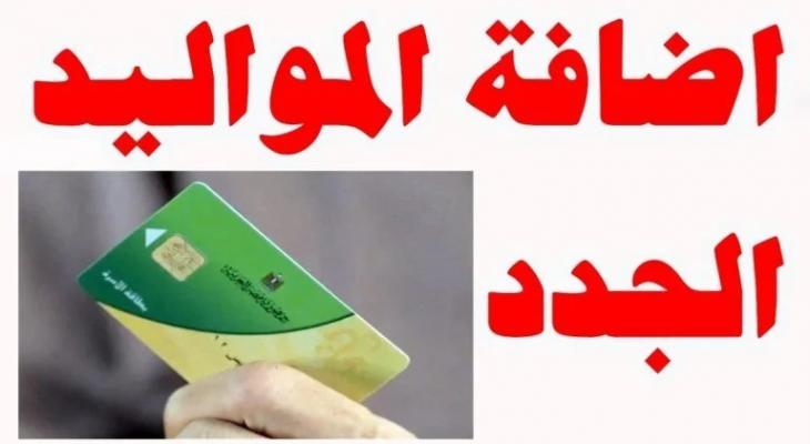 كيفية تجهيز المستندات المطلوبة لتسهيل عملية الإضافة