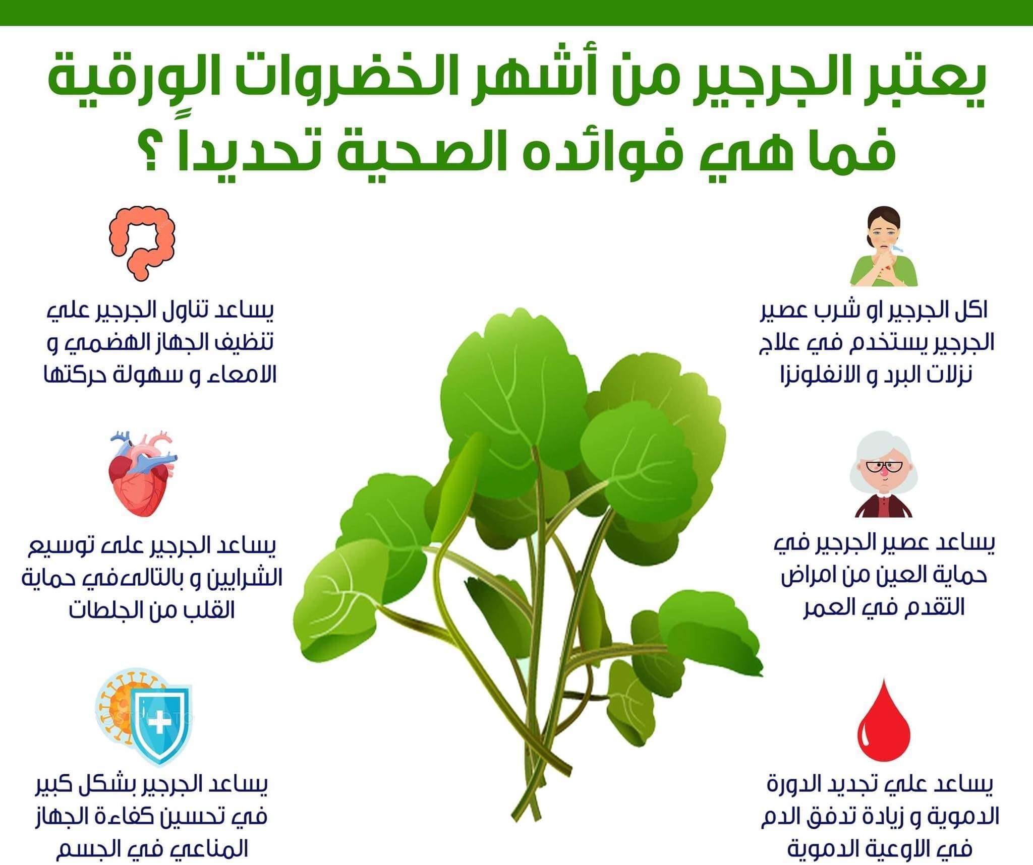 نصائح لاختيار وحفظ الجرجير لضمان فوائده القصوى