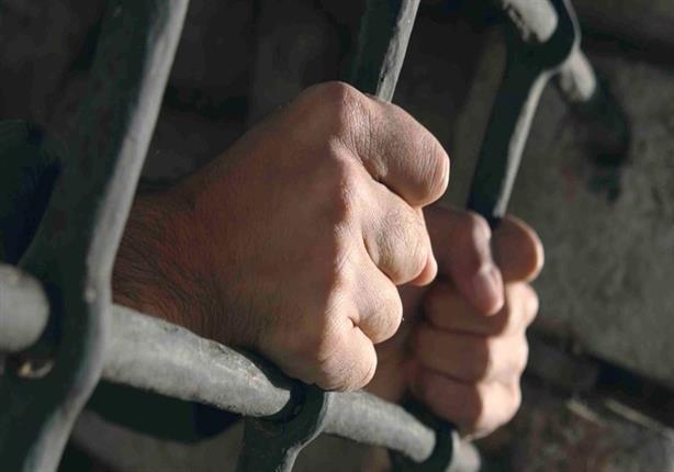 توصيات لتعزيز منظومة الحماية الأسرية والقانونية في المنيا