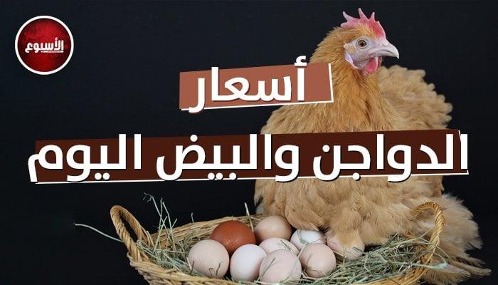 تطورات سعر كيلو الدجاج وتأثيرها على السوق المحلي
