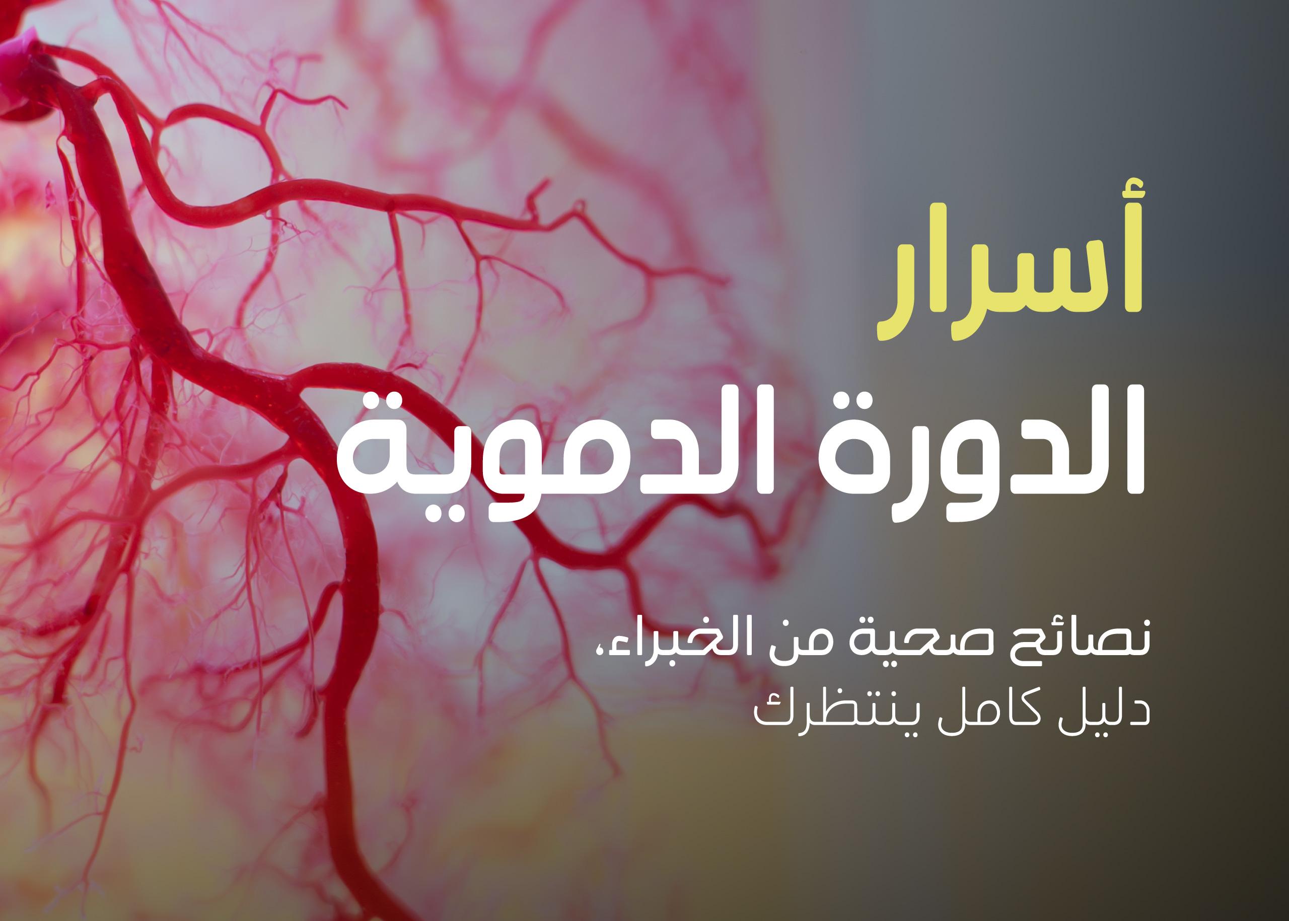 التغييرات الغذائية والروتينية لدعم الدورة الدموية وتحسين الضغط