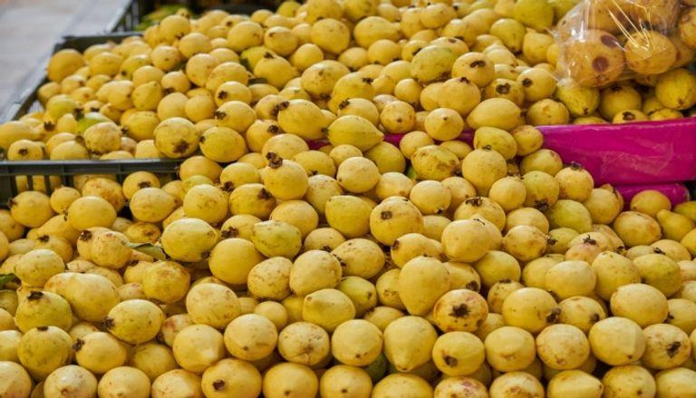 طرق حفظ الجوافة في الفريزر للحفاظ على نكهتها وقيمتها الغذائية