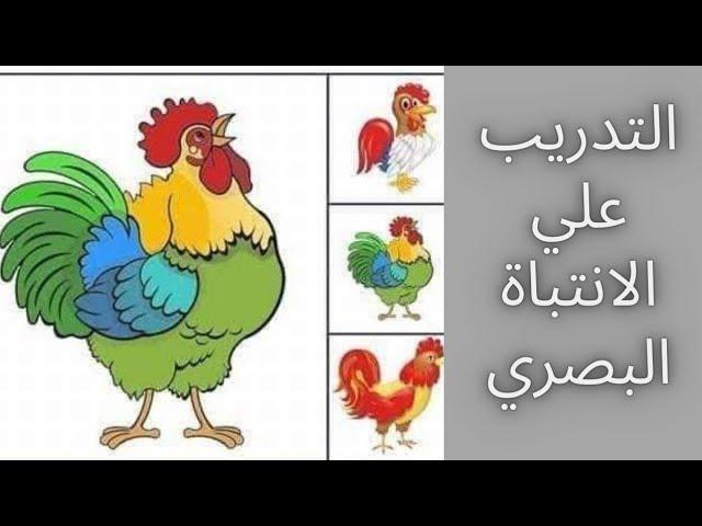 طرق بسيطة لتعزيز الذكاء والرؤية من خلال تدريب الانتباه البصري