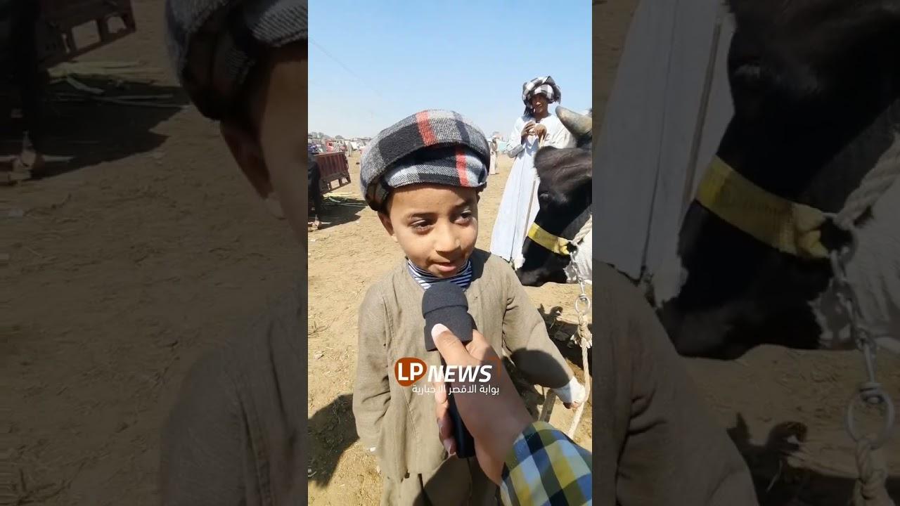 الملابسات المحيطة بجريمة إنهاء حياة تاجر الماشية جنوب الأقصر