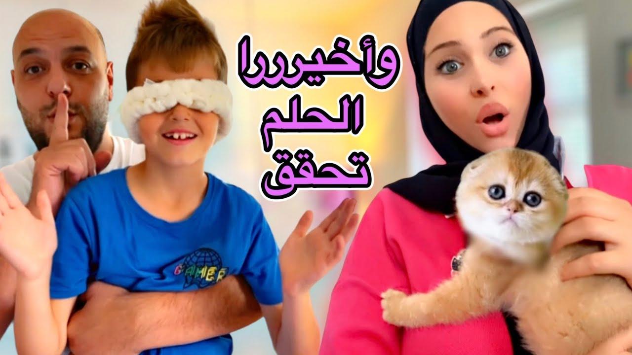 العوامل النفسية والاجتماعية وراء جذب هذه المقاطع