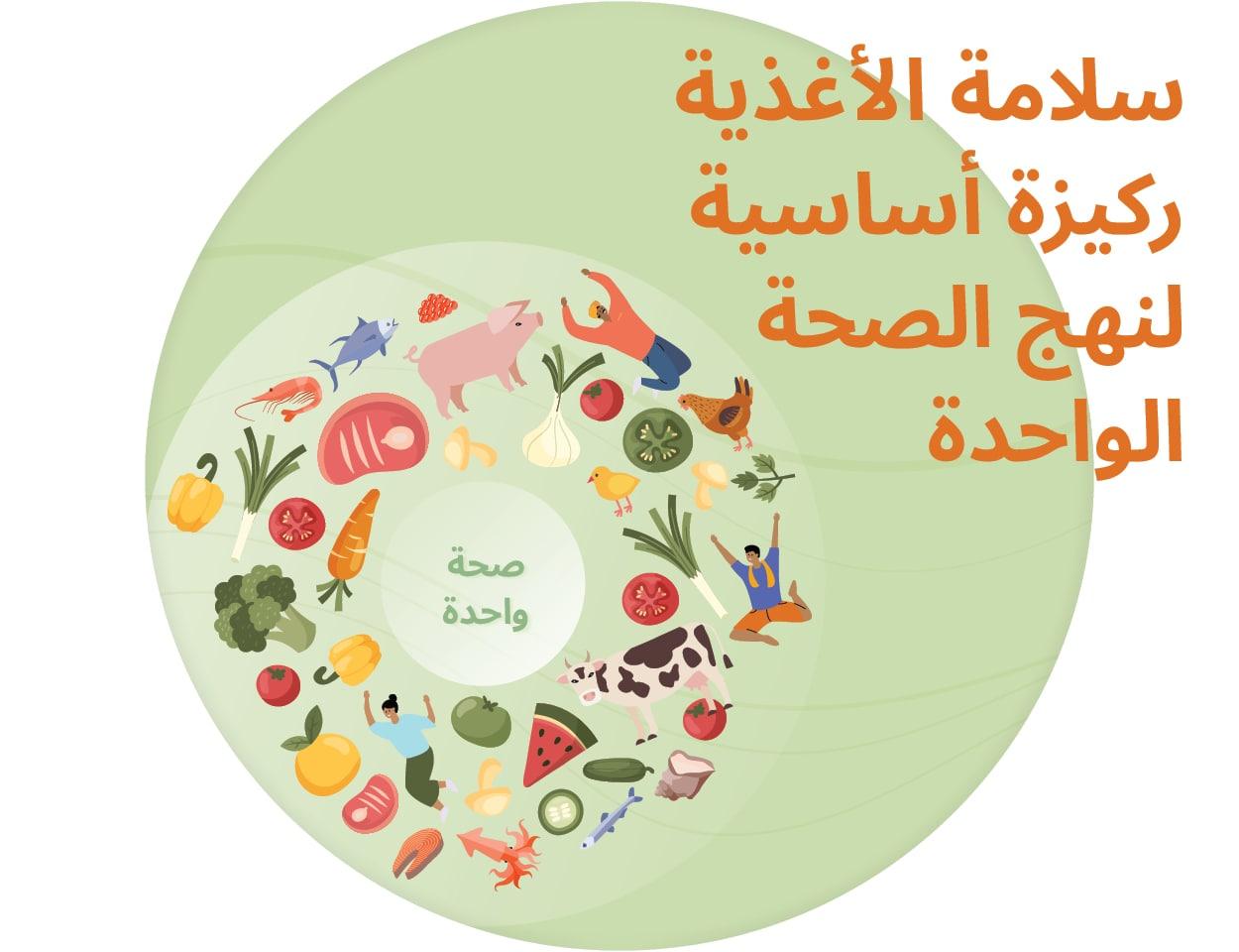 آليات الرقابة والتفتيش لتعزيز سلامة المنتجات الغذائية في الأسواق المحلية