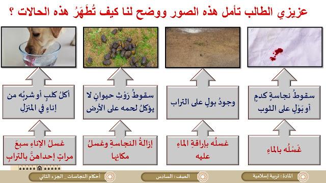 واقع طهارة الكلاب من منظور الفقه الإسلامي وتأثير الوفاة على حكم الطهارة