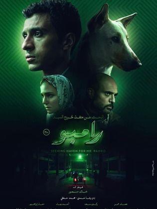 تحليل شامل لأبرز الأفلام المرشحة ومعايير اختيارها
