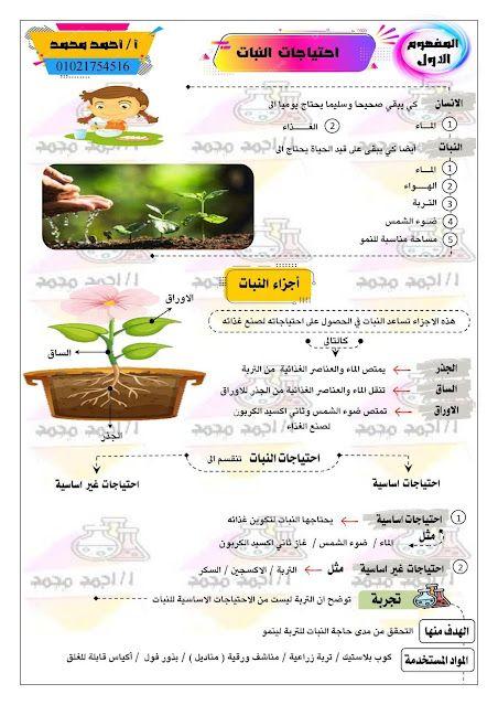استراتيجيات فعالة لتدريس العلوم خلال التيرم الأول