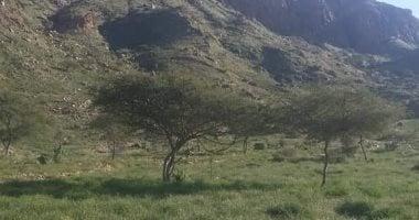الأودية الجبلية في حلايب وشلاتين بين الطبيعة والتحديات المناخية