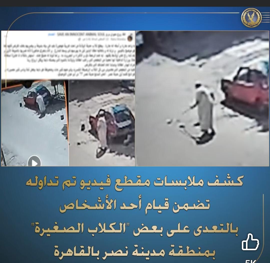 دور وزارة الداخلية في مكافحة العنف ضد الحيوانات