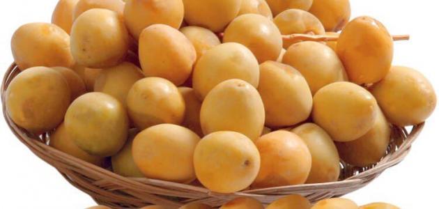 مكونات البلح الغذائية التي تدعم الحمل الصحي