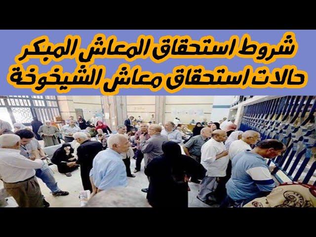 كيفية التحقق من استحقاق المعاش عبر الرابط الرسمي بسهولة